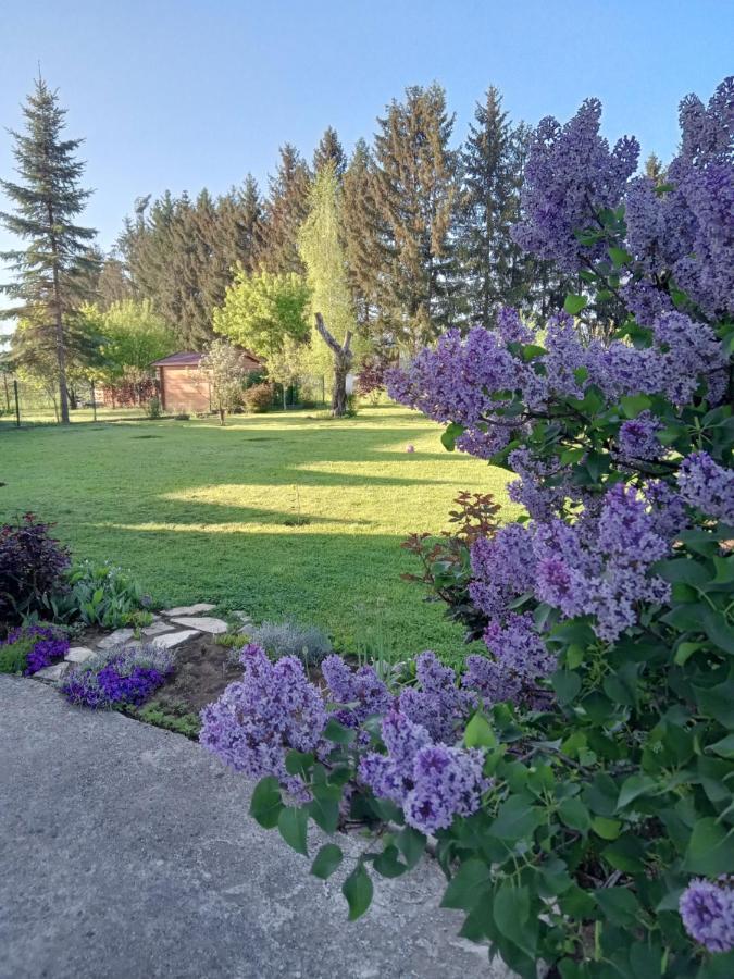 Apartman Bepo Gospić Esterno foto